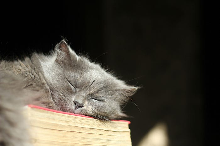 To Write Well, You Must Read — a Lot | article review image