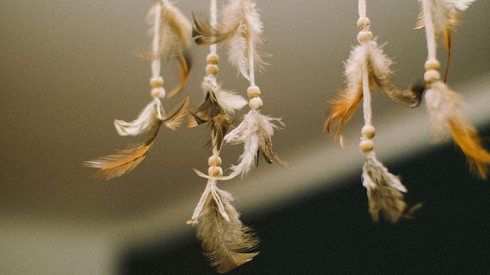 The Language of Indigenous Identity | article review image