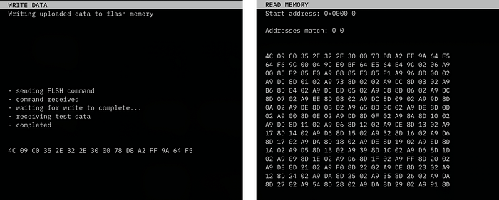 Another two screengrabs of text terminal sessions showing the output of the Python program. The one on the right shows a block of data.