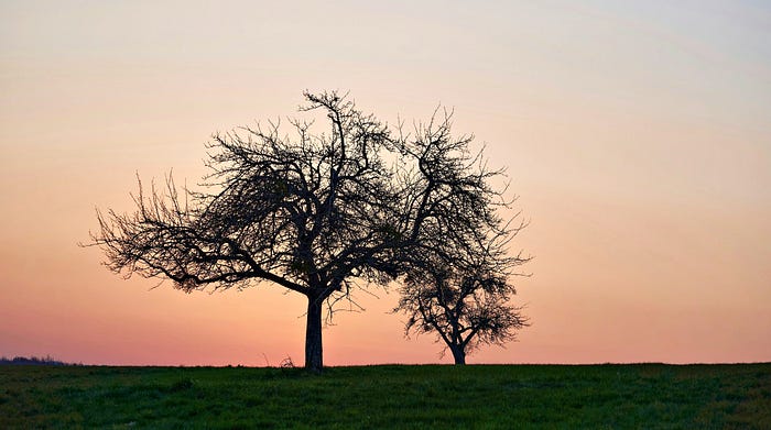 Detachment is a Way of Life. Nothing Belongs to You