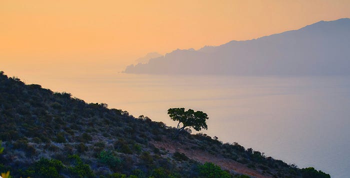 7 Things That Have The Most Returns In Life