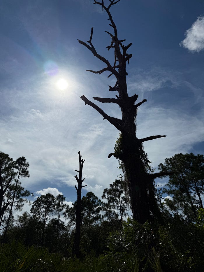 Love Self Assured | article review image