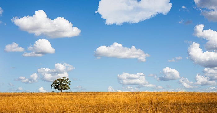 You'll be Set For Life, If You Apply This Simple Truth