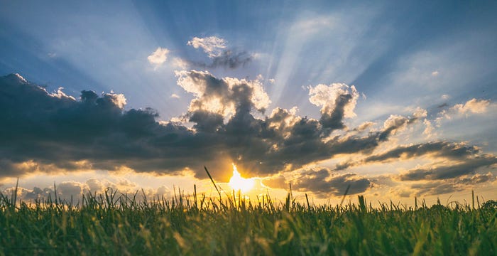 Einstein Figured Out the Meaning of Life. Eckhart Tolle Says He Was Right