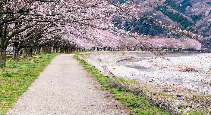 The One Habit That Moves Your Entire Life Forward Faster Than Anything Else