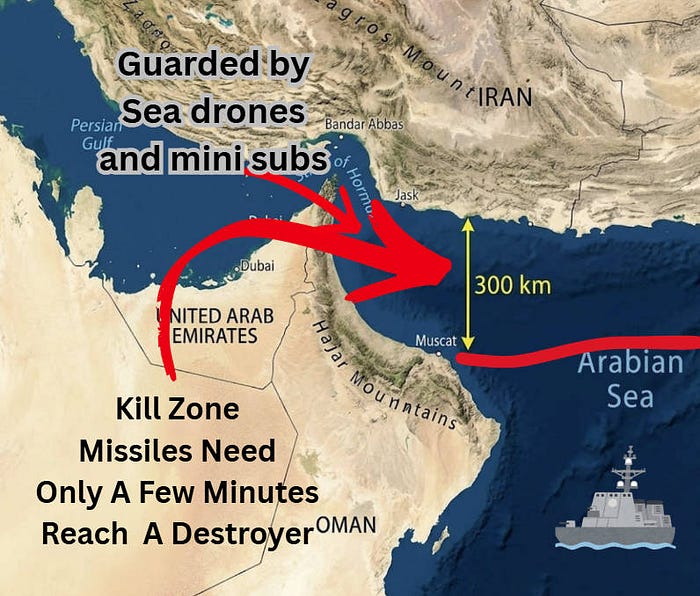 The U.S. Navy Will Never Go Through the Strait Of Hormuz Again