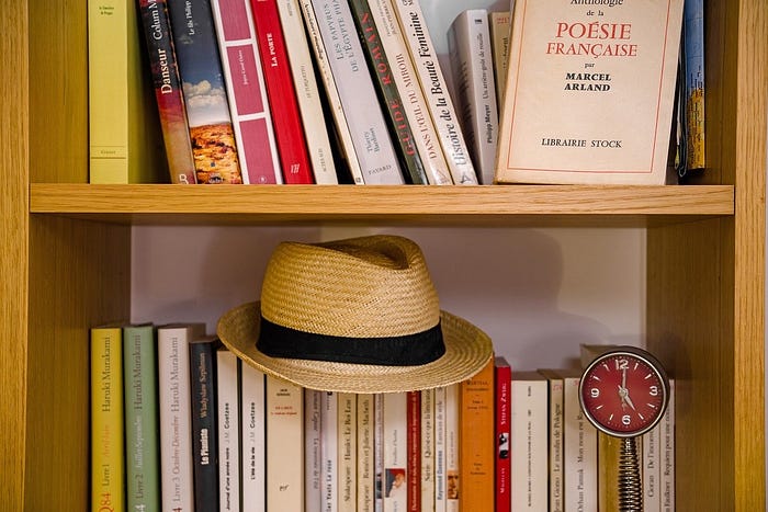 100 Must-Read Books Translated From French | article review image