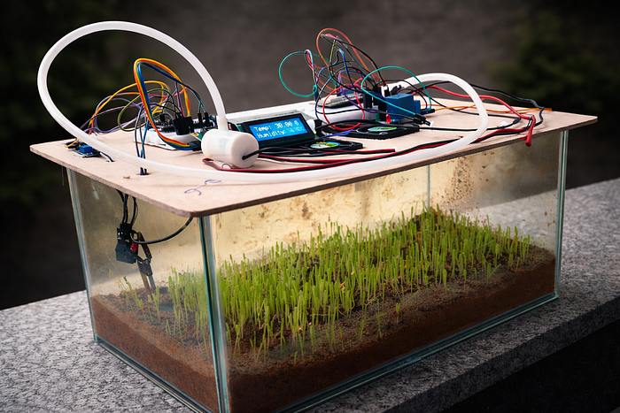 I Built a Plant Monitoring and Control System Using ESP32 & Blynk IoT