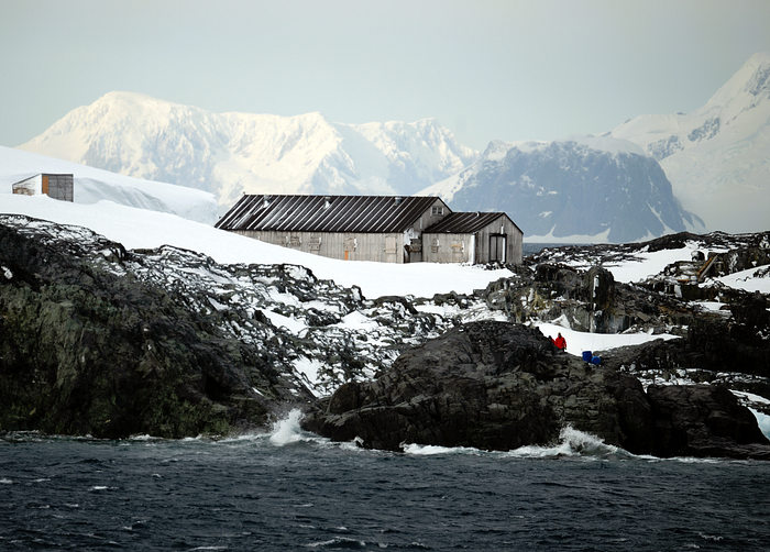 Abandoned in Antarctica | article review image