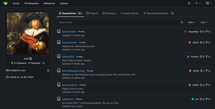 A screenshot of a web page showing a number of project repositories.
